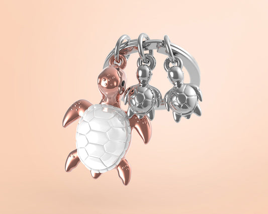 TURTLE FAMILY 🐢